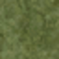 lodcunty_grassdeep256.png