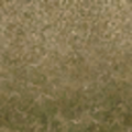 lodcunty_sw_dirt01_forestblend.png