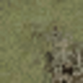 lodtnsfn_sfncn_rockgrass3.png