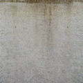 melrose02_lawn_stormdrain2_nt.png