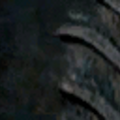 monstera_monstera92tyre64.png