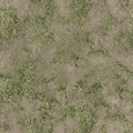 mountainsfs_grass4dirty.png