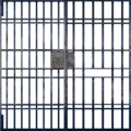 mp_cop_bars.png