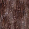 mtbtrackcs_t_sm_redwood_bark.png