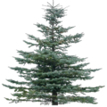 mtbtrackcs_t_tree19Mi.png