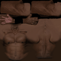 player_torso_torso.png