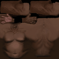 player_torso_torso_fat.png