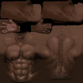 player_torso_torso_ripped.png