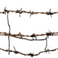 qrydrx_Was_scrpyd_barbwire.png