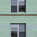 queens2_sfs_ws_apartmentmankygreen3.png