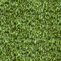 sunrise05_lawn_hedge1.png