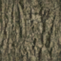 sw_oldshack_oakbark64.png