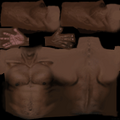 torso.png