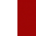 traincross_rednwhite.png