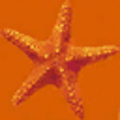 underwater_starfish64.png