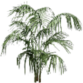 veg_fuzzyplant_planta256.png