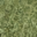 vegasnlod2_Bow_church_grass_gen_lod.png