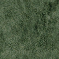 vgnground_Bow_grass_gryard.png