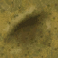 yellowrust2_64.png