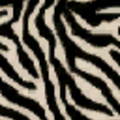 zebra_skin.png