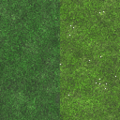 GrassMix.png