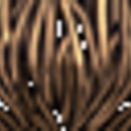 HP3Broom_brush.png