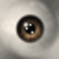 HP3Gen_eye_brown.png