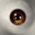 HP3Gen_eye_dark_brown.png