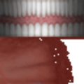 HP3Gen_mouth.png