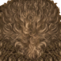 HP3Goyle_Hair.png