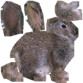 HP3Rabbit.png