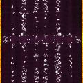 PurpleFlag_Plain_SM.png