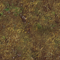 Quid_Undergrowth.png