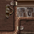 Trunk_Brown2_Side_SM.png