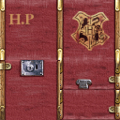 Trunk_HP_Lid_SM.png