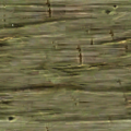 WillowRoot_Colum_SM.png