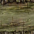 willow_end_ledge_3_SM.png