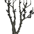 CogThinTree.png