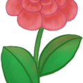 DG_flower1.png