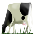 Farmcow3.png