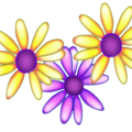 Flowers3.png