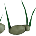 Grass1.png