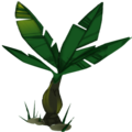 PoolsidePlants3.png