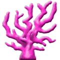 UWcoralPlantPink.png