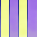 a_yellow-purple.png