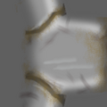 cogC_pelvis2b_1.png