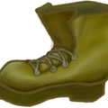 icecube_shoe.png