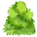 leaves2.png