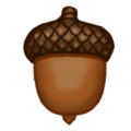 outdoor_zone_acorn.png