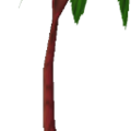 palmtreeflat1.png